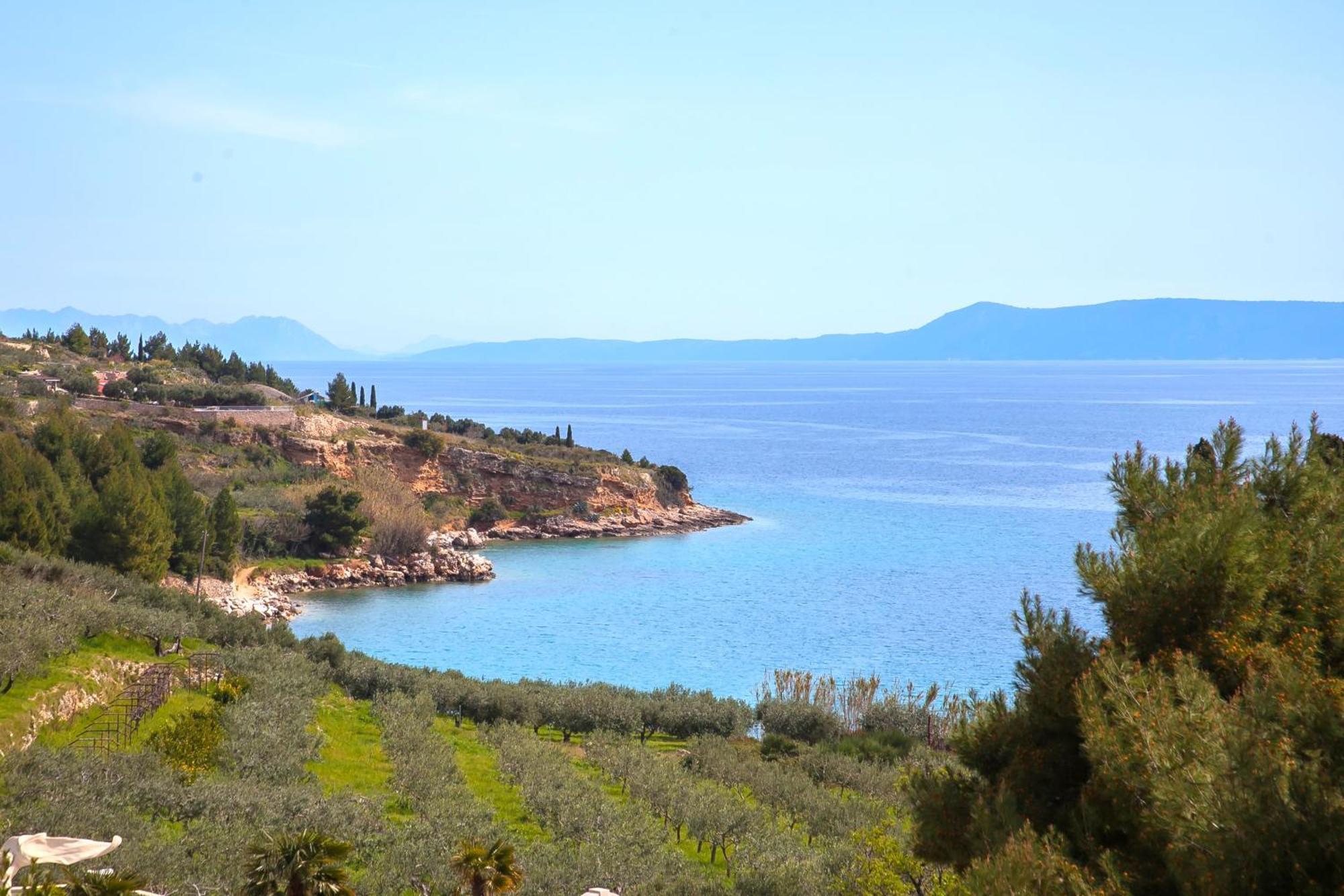 Helvetia Sunny Apartments Bol Bagian luar foto